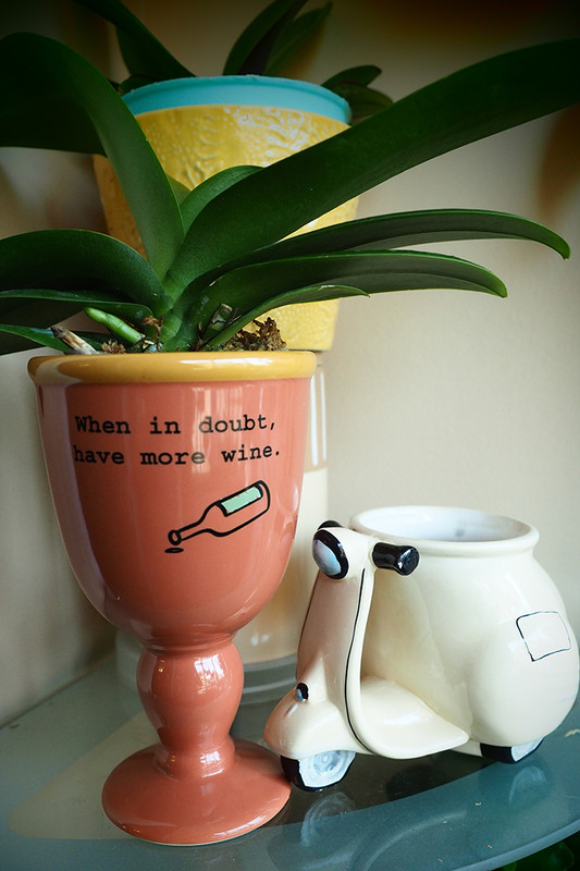 [Image: P7220203.jpg]