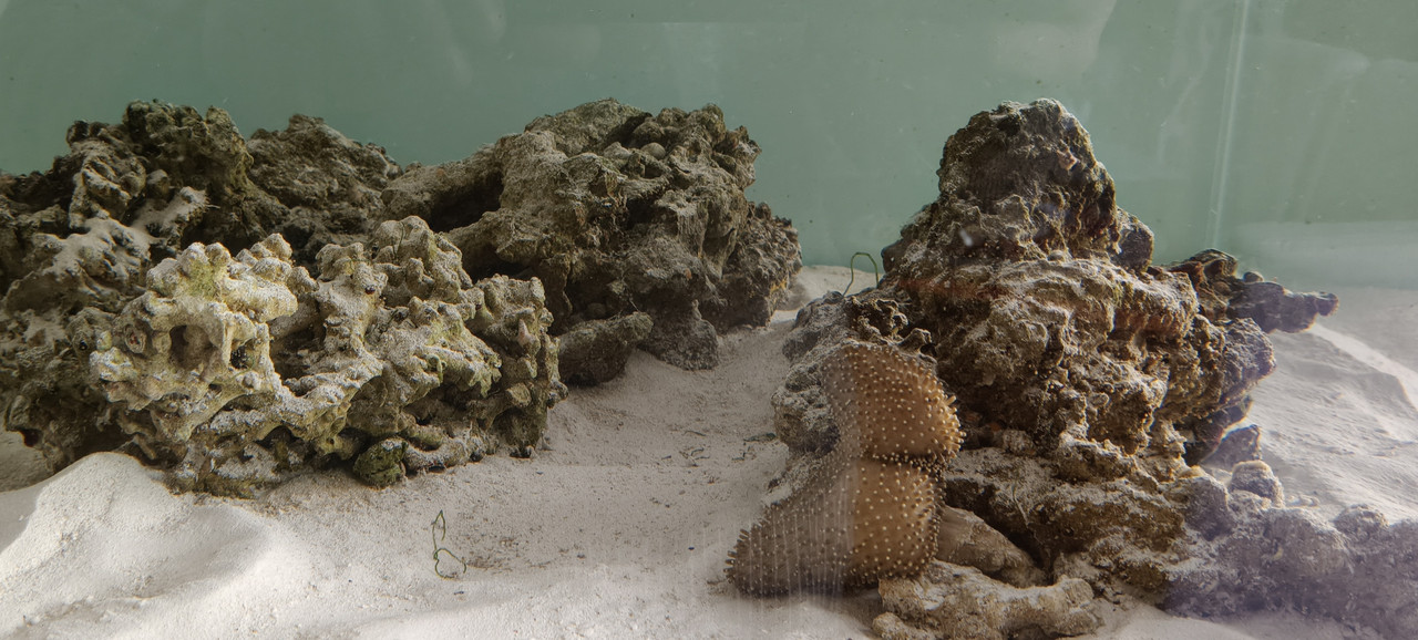 Screenshot 2025 12 27 11 47 46 23 99c04817c0de5652397fc8b56c3b3817