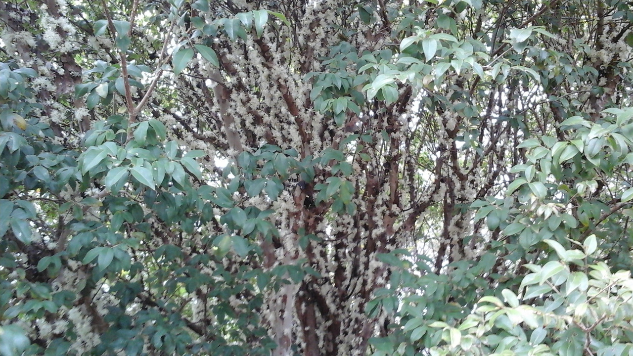 20150621_103756