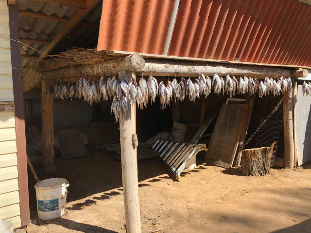 659aede8-cb38-4cca-bb5f-bfbf9742faa4