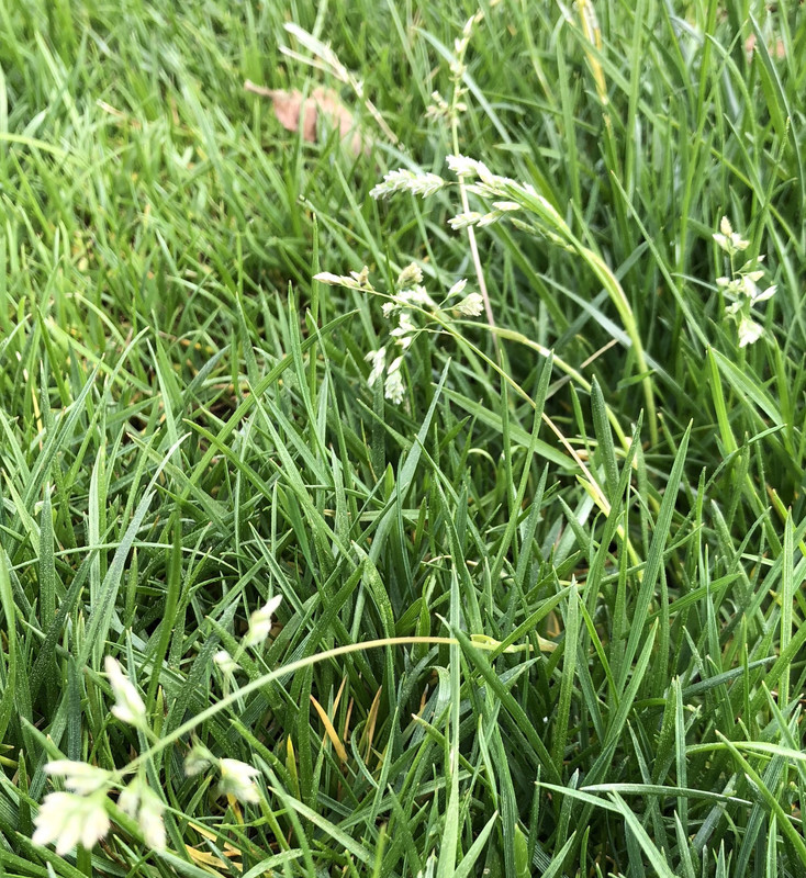 B8F49773-2D16-4B4A-B812-5CFBA91244F0