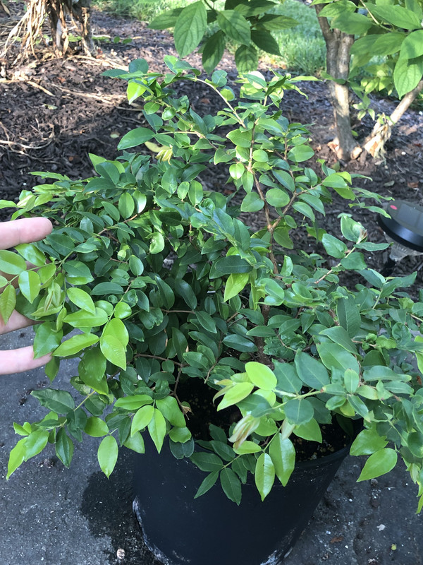 63085D5B-1F07-44C1-89F0-6B2F7673268B