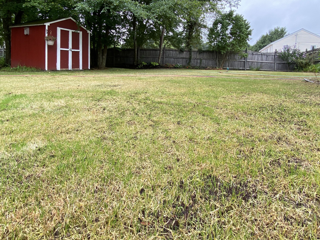 9C92E206-D49A-4D7B-9913-2C2296A8798A