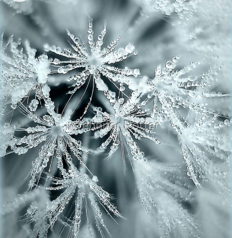 Screenshot_20221208-221520_Chrome