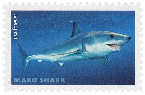 shark stamp 2