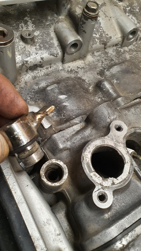 20230529_201552 (Custom)