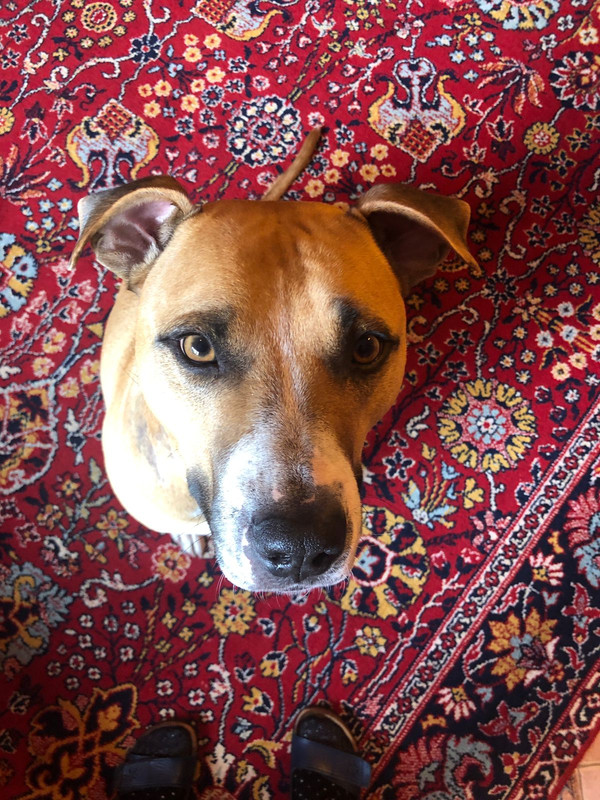 0491E750-A490-44FD-B5A1-AC379416F42F