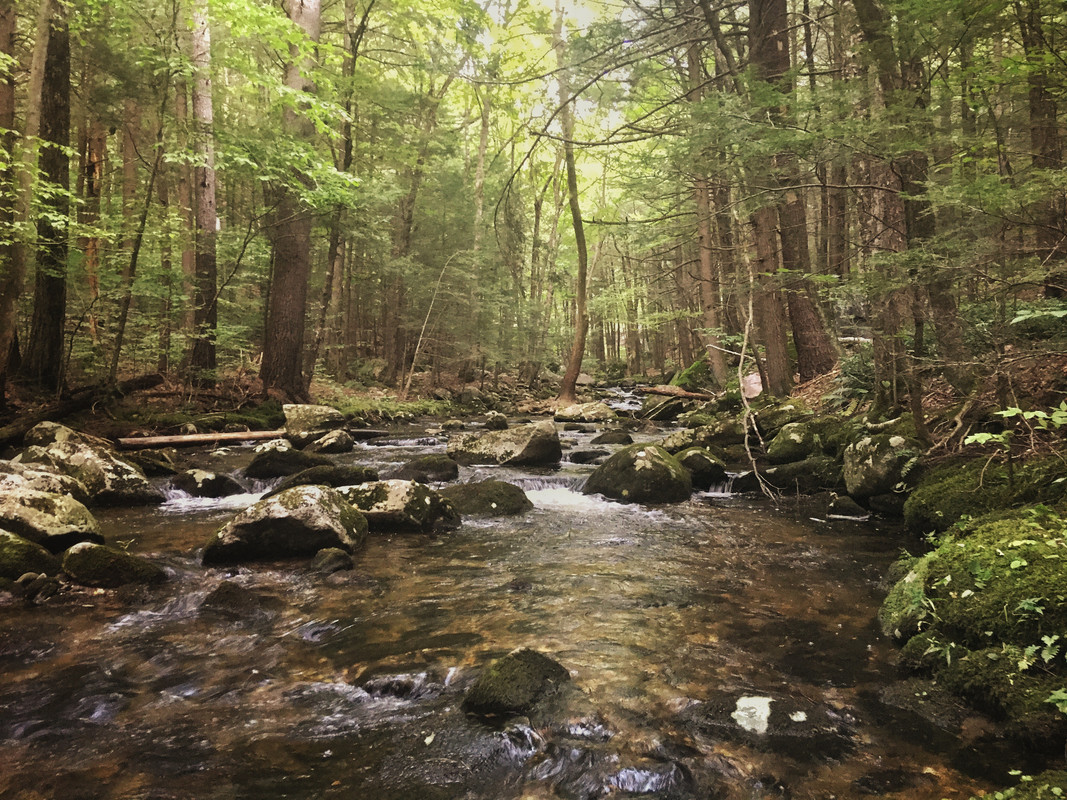 ACD3A016-685D-4CC6-832E-CF8E0383F3FE