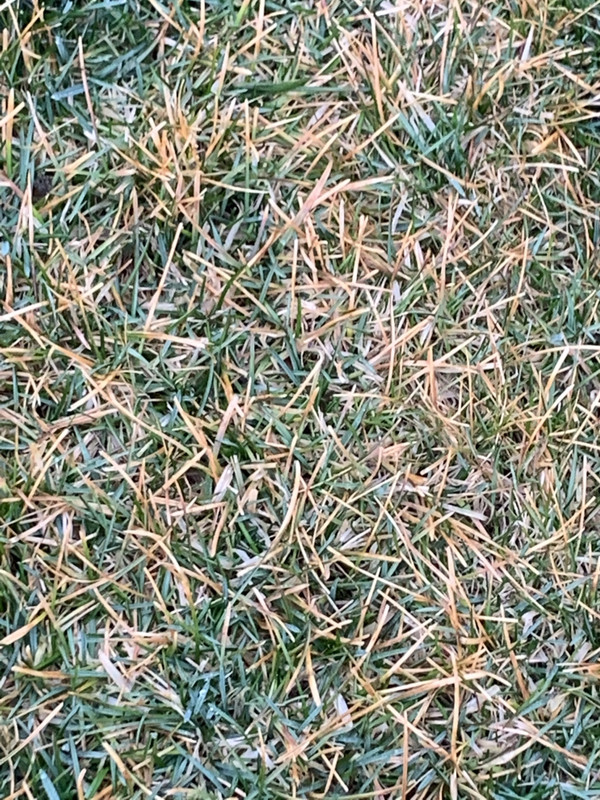 A96744CA-2009-4B35-8D18-BECFD2756CBC