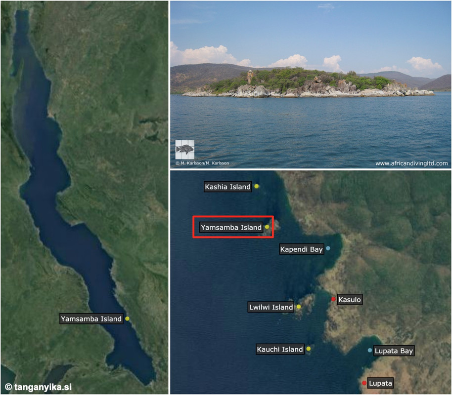 Yamsamba Island (tanganyika.si)