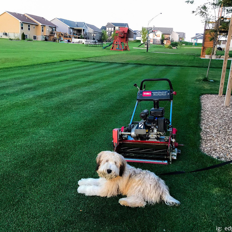 53653160-9411-49F3-B8A7-468F682B0904