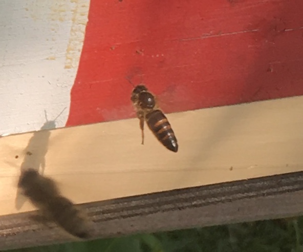 0E2E9368-4D5F-41FC-8CAF-476B43D3AF7F