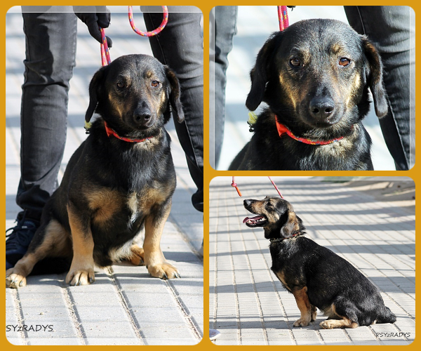 BeFunky-collage (23)