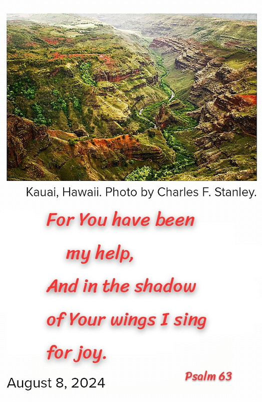 comment image