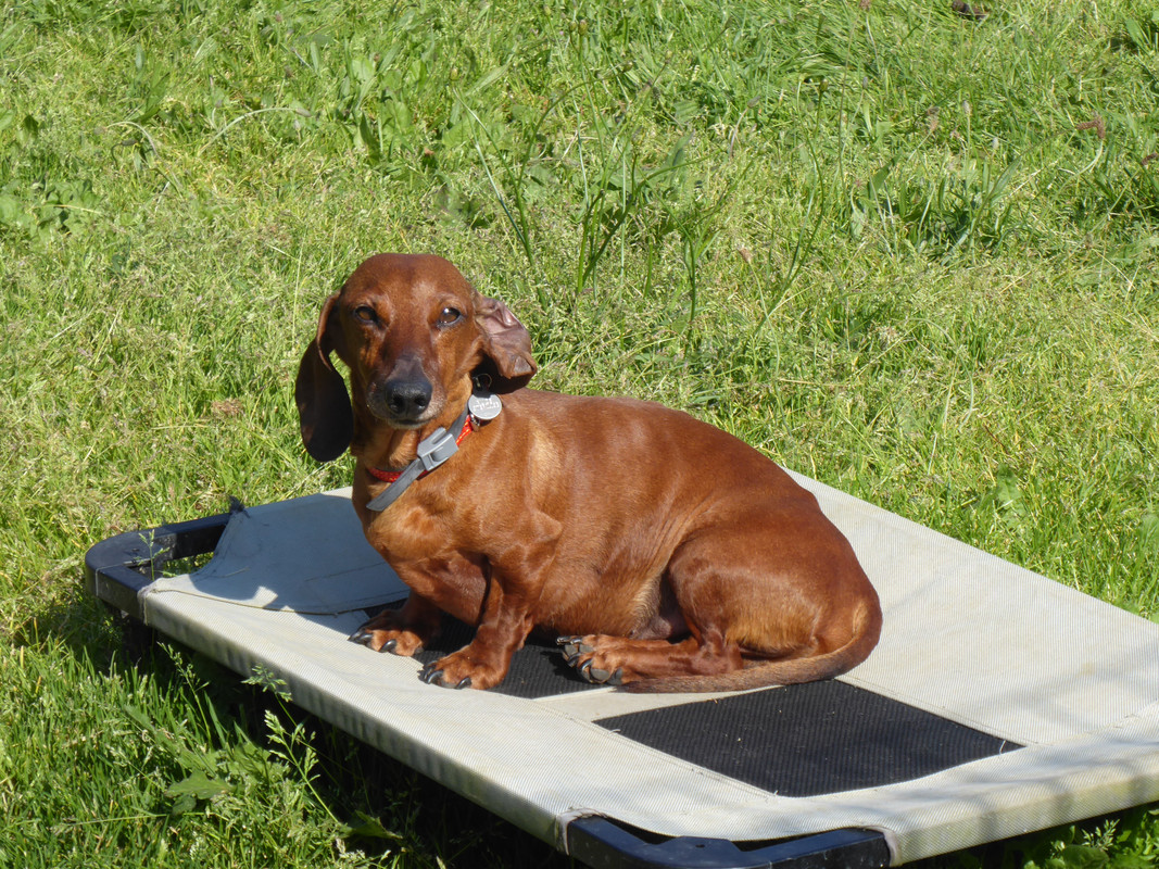 [Image: P1030055.jpg]