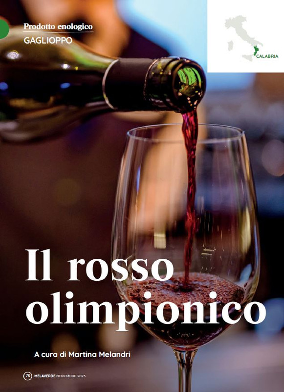 melaverde Nov 2023 (7)