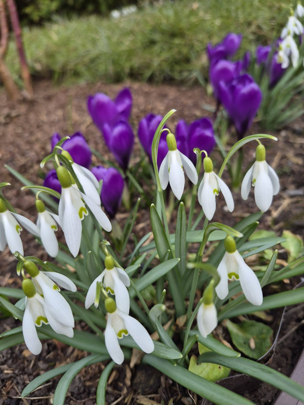 654437204-26371522785792364-7248860417797067067-n-(1)