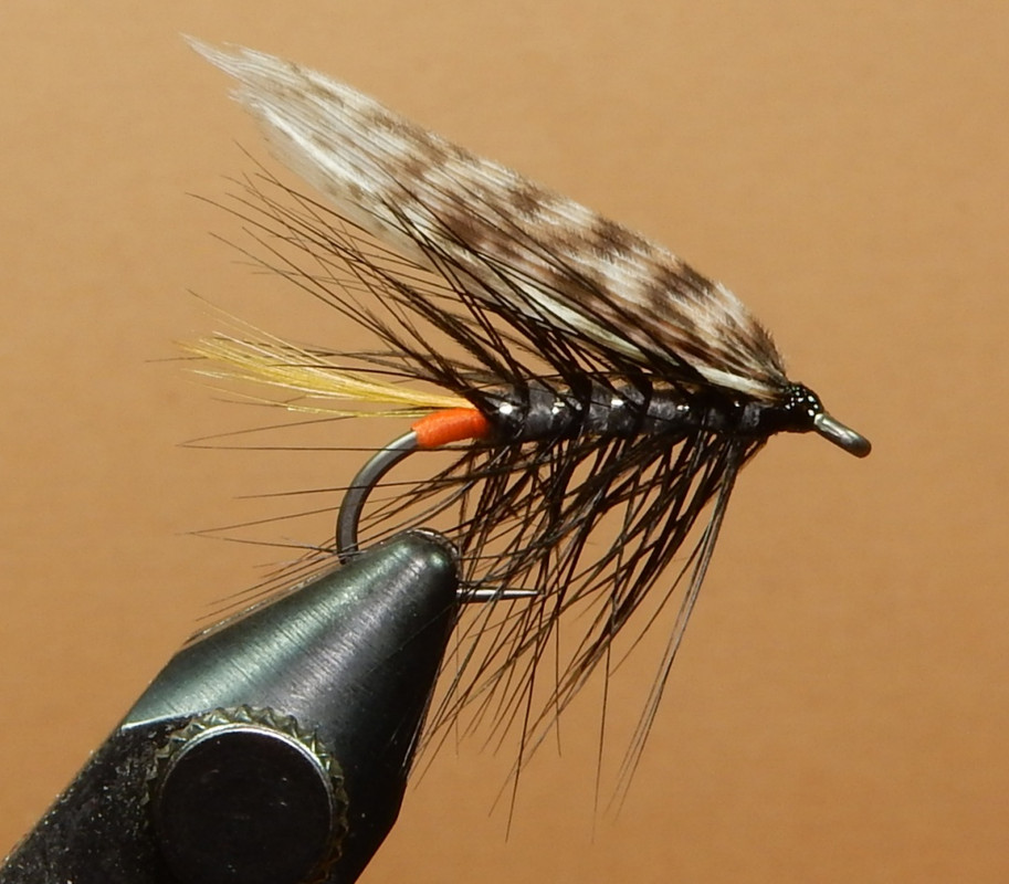 Parson-1080.jpg