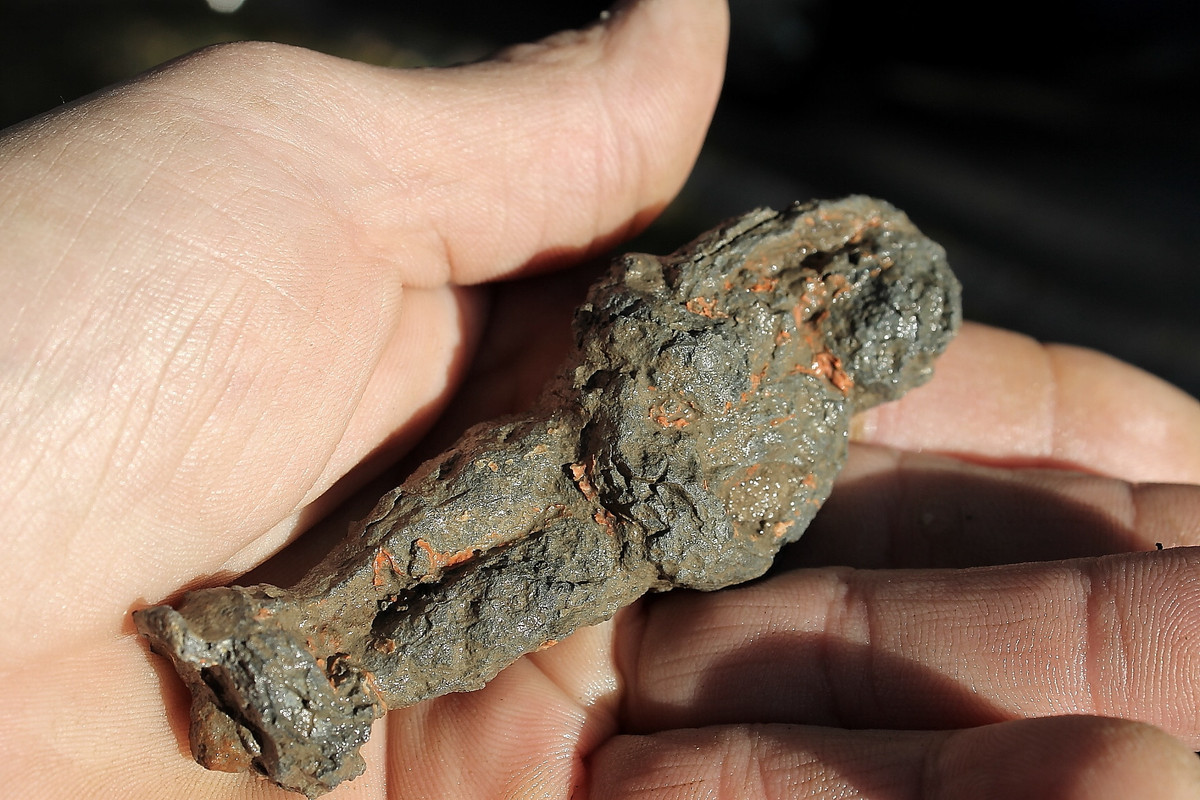 IMG_3801