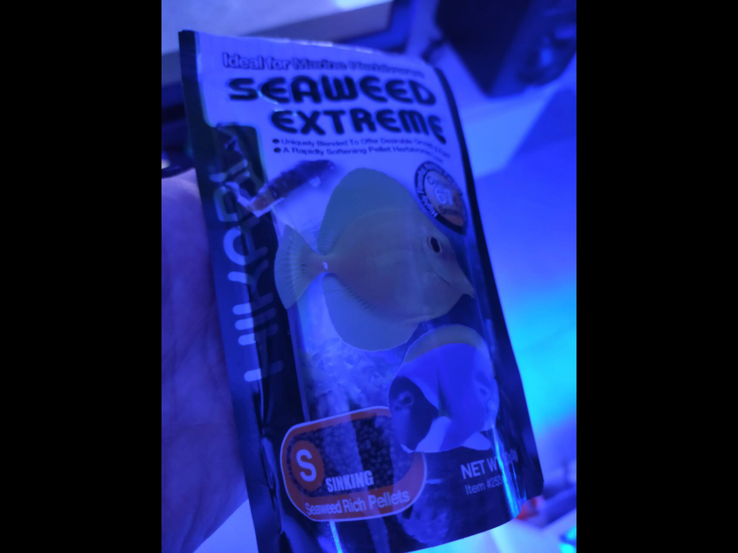 2CDE2E32-77ED-44EC-900A-A2C37C2CA2B5