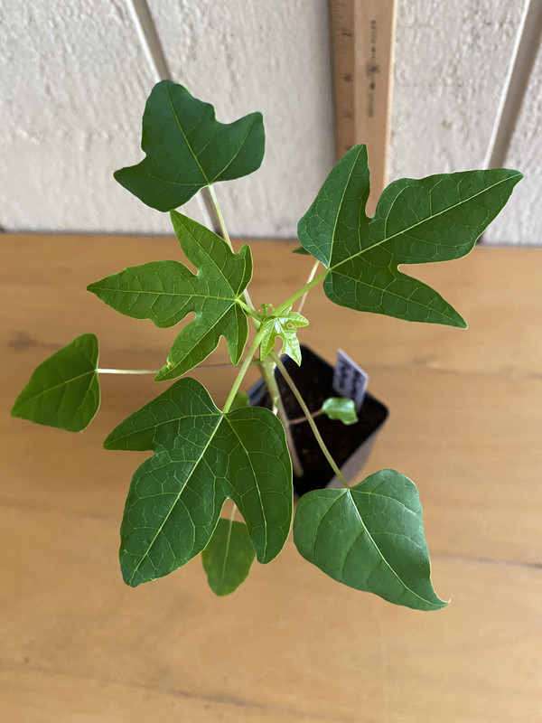 9901684F-6FFE-4B53-BA39-4E63A3D5DD05