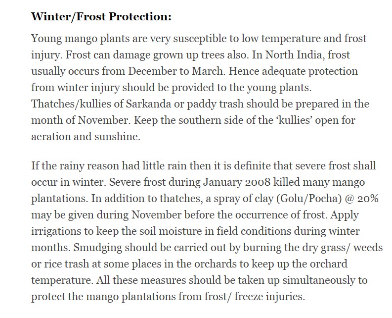 1north-india-mango-coldxxxx..