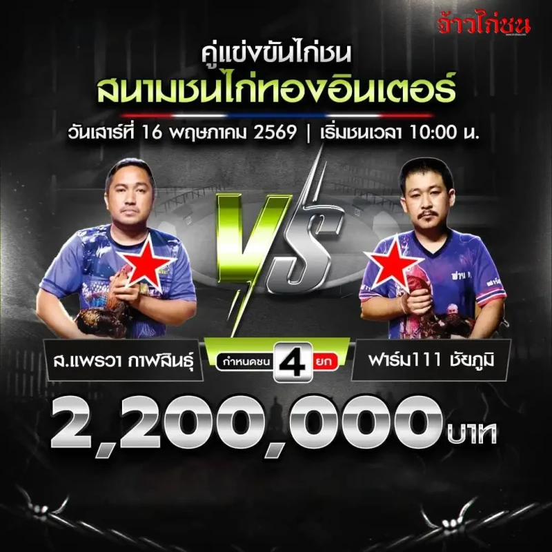 ส.แพรวา กาฬสินธุ์ vs ฟาร์ม111 ชัยภูมิ โปรแกรมไก่ชน สนามชนไก่ทองอินเตอร์ 16 พฤษภาคม 2569