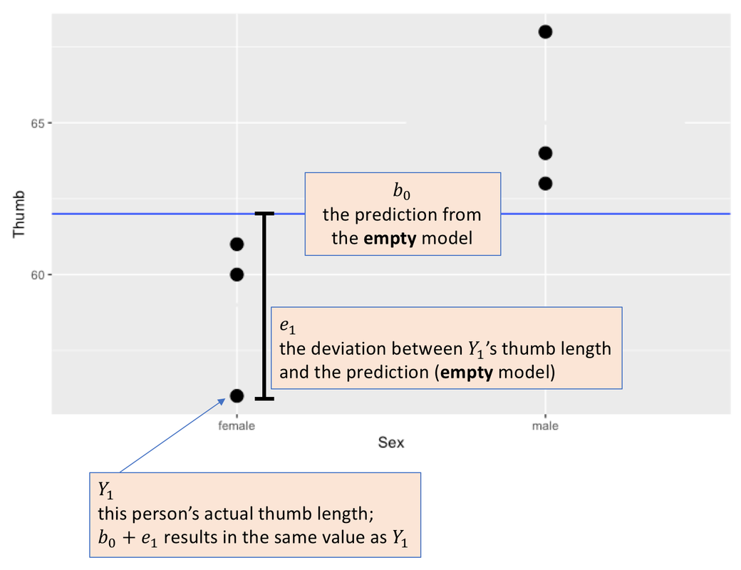 A scatterplot of the distribution of Thumb by Sex in TinyFingers with a horizontal line in blue showing the grand mean (b0). We draw a distance from one point to the horizontal line. The error of a measurement from the model prediction (ei) is represented by the distance between the y value of each dot (Yi) and the horizontal line (b0). The error is positive when a dot is above the horizontal line and negative when a dot is below the horizontal line. In conclusion, Yi=b0+ei.