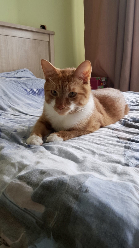 33A01991-01BD-46F4-8A74-5F5769698F10