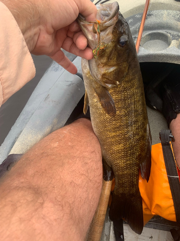 C31BC013-205F-42CB-88FC-86C36FCB8173