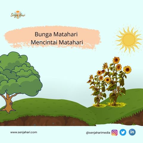 Bunga Matahari