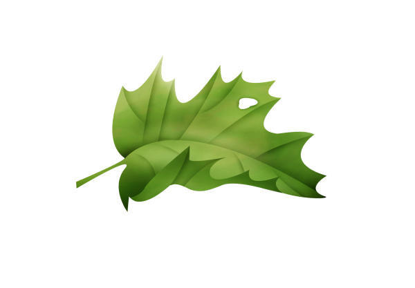 143790051_LMB_Fall_Bounty_Element_34