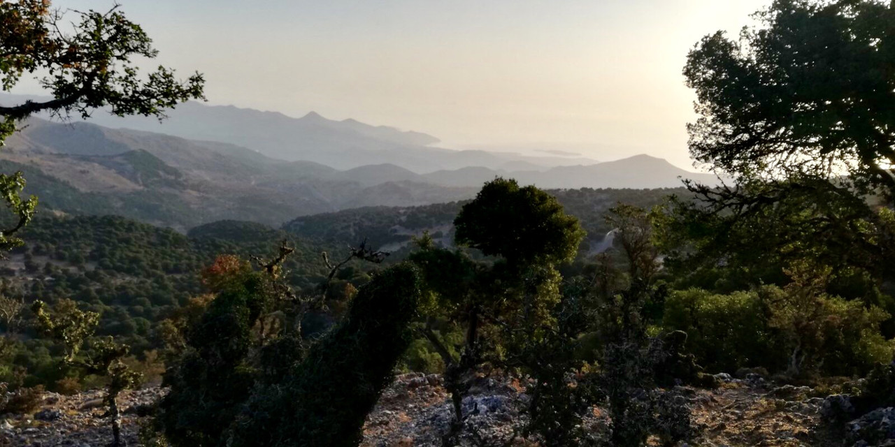 B8A249BF-B6E4-404B-9BF6-30CA4A708866