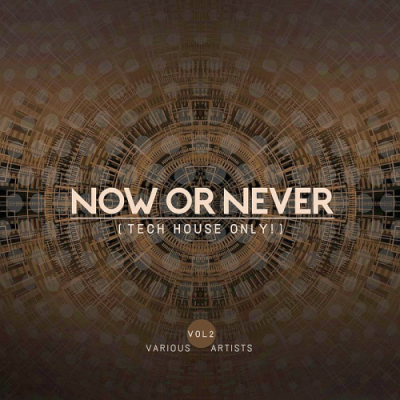VA - Now Or Never Vol. 2 (Tech House ONLY!) (2019)