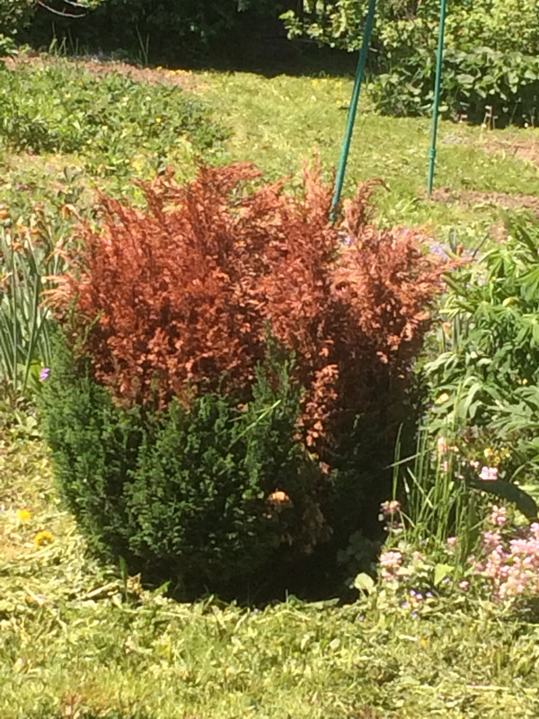 D80CEC01-FC06-4894-8C4F-217E180B4D58