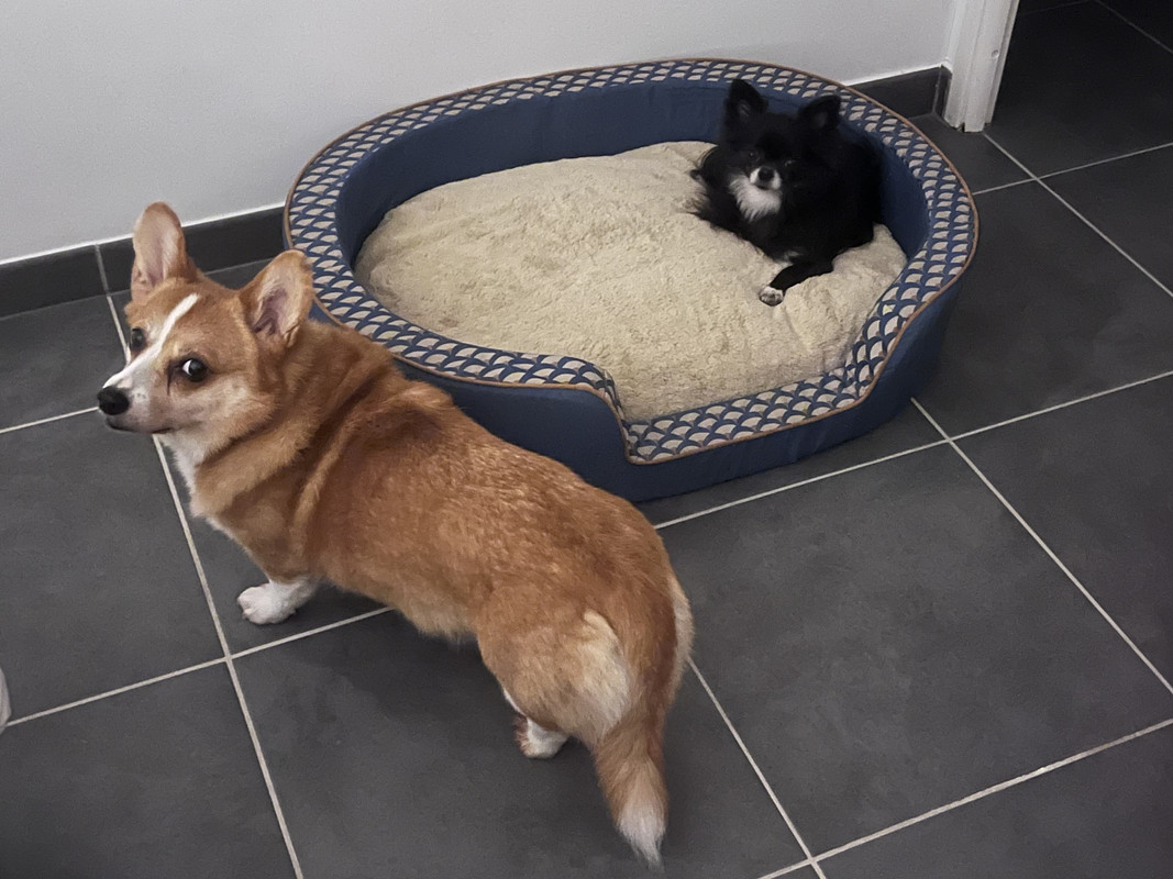 [Image: 94-C774-B7-8-ACC-4656-AECD-7023-D80-C3-B0-B.jpg]