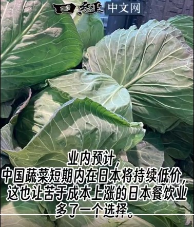 https://i.postimg.cc/RZMrtr5L/imige-3.jpg