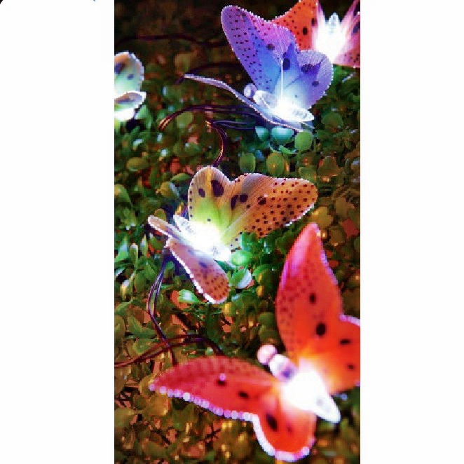 Solar String Light : 60295