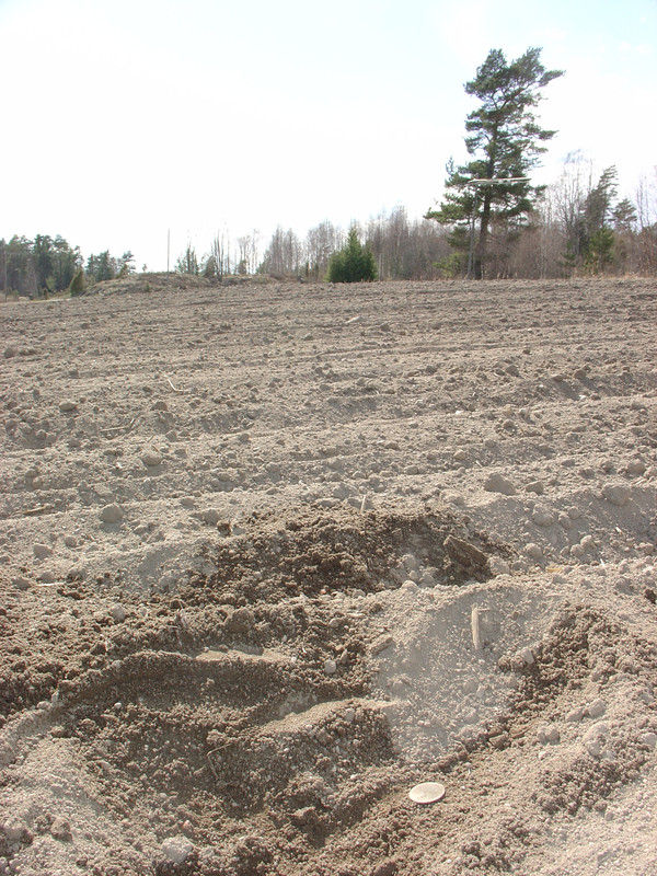 2014-04-26 - Vasumet Pederså 02