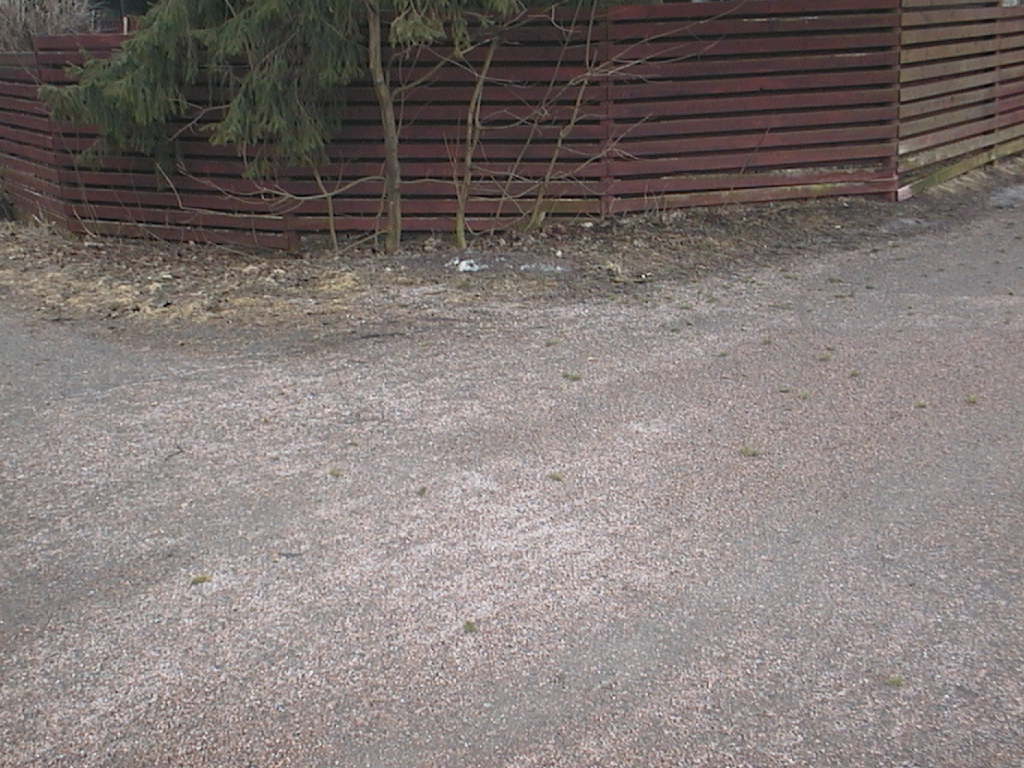päivän löydöt 28032016 036