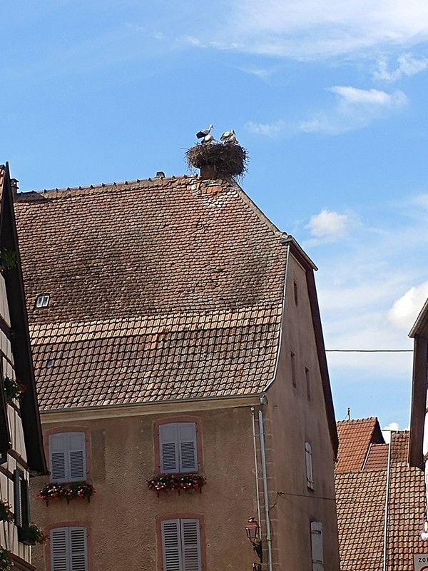 20220623-173842-HDR.jpg