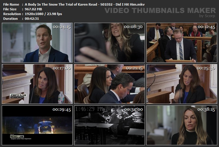 A Body In The Snow The Trial of Karen Read - S01E02 - Did I Hit Him.mkv