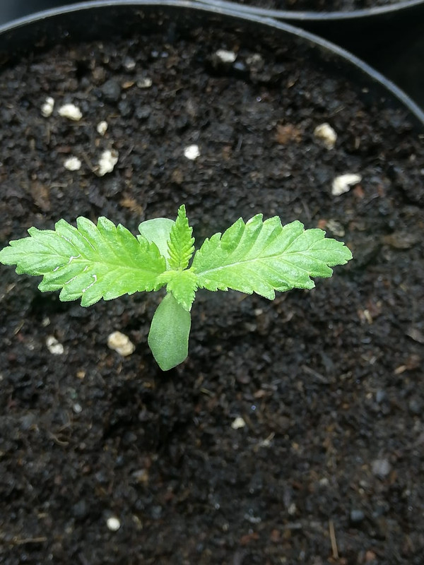 WhatsApp Image 2021-05-12 at 7.11.04 AM (1)