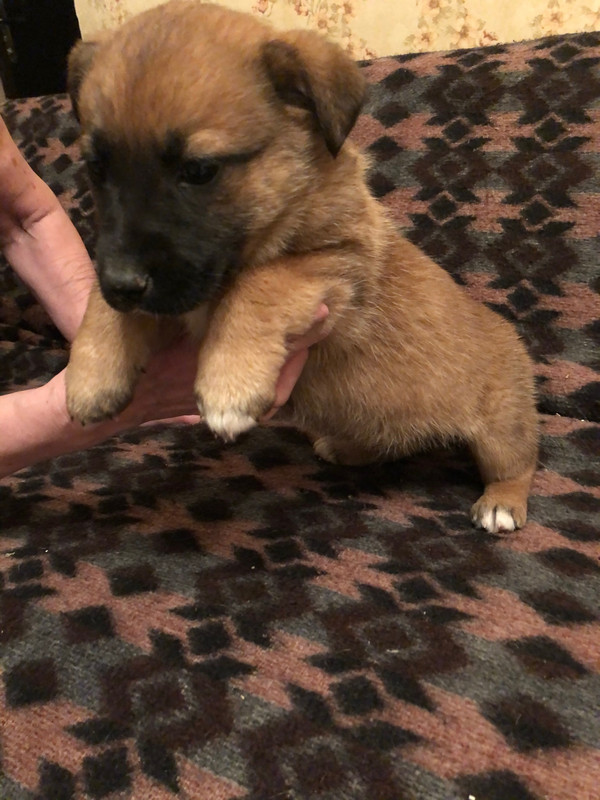 0C1A49AD-BCC6-4F9F-A312-8F6C9C3F328D