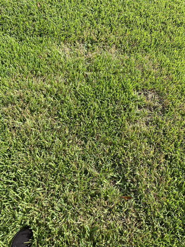 4CEADFF9-8D95-4F40-9DF9-CDD6F82414C1