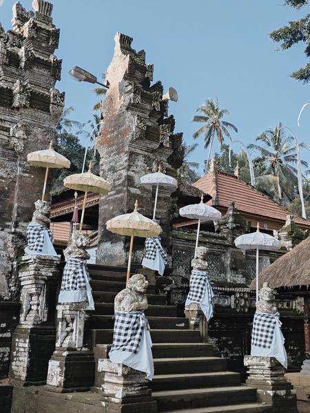 6 Aviones, 3 barcos y 2 trenes, empezando en Estambul y terminando Kuala Lump - Blogs de Indonesia - TERCERA PARADA: BALI (88)