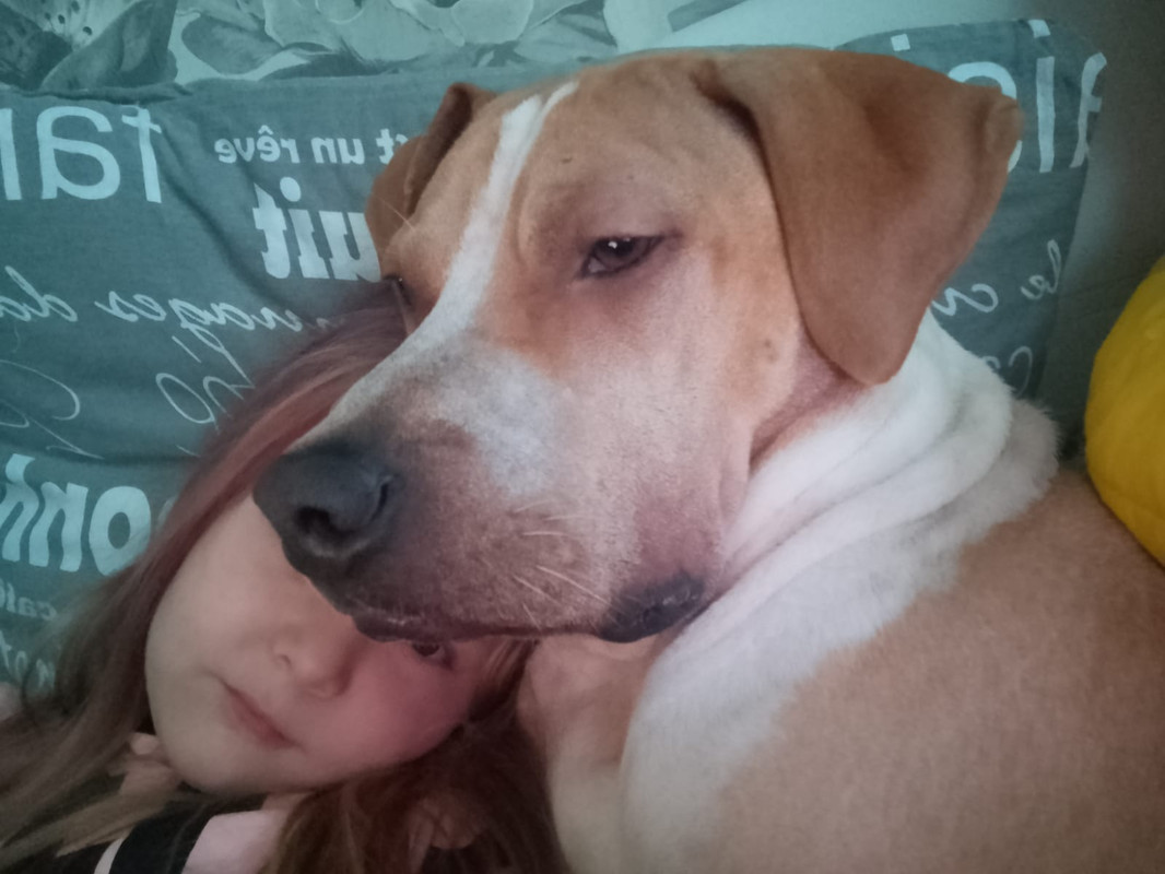 53B43C08-8919-4185-BBAF-93864B1C34A2