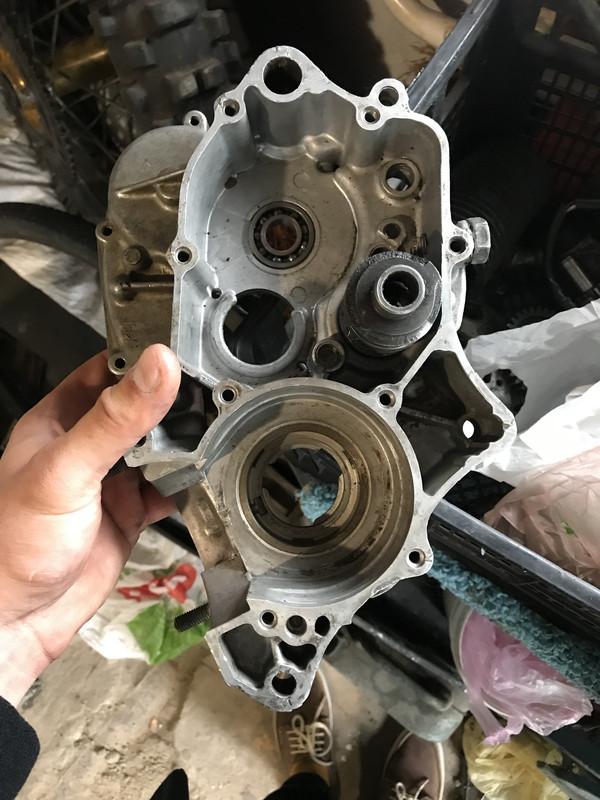 51BA63D7-1E06-47CC-96D0-24AE074A0E2B