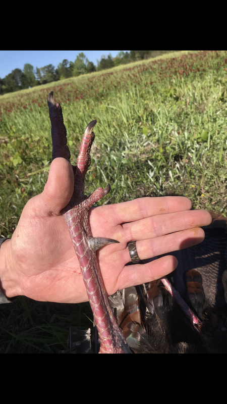 A969011A-A935-4588-BC4D-F0E2655F3459