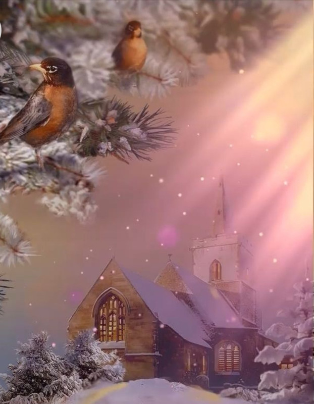 Screenshot_20230217_202919_Chrome